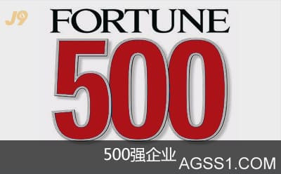 500强